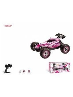 Voiture radiocommandée...