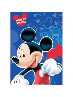 Plaid Polaire Mickey Disney...